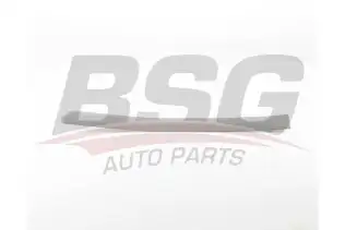 BSG 70925012 Kapı Bandı Arka Sol