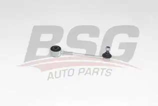 BSG 90310203 Viraj Askı Rotu Arka