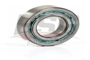 BSG 30605014 Porya Rulmanı Arka