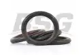 BSG 30922075 Emme Manifold Oringi