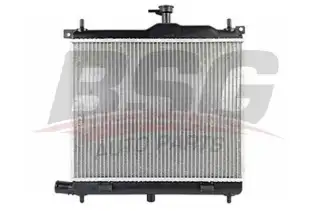 BSG 40520031 Su Radyatörü