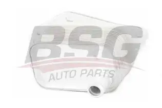 BSG 40506002 Yağ Soğutucusu