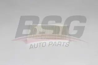 BSG 75145004 Polen Filtresi