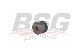 BSG 60700177 Viraj Demir Lastiği Ön