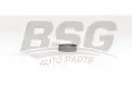 BSG 75615001 V Kayış Gergi Rulmanı