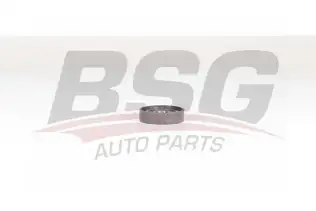 BSG 75615001 V Kayış Gergi Rulmanı