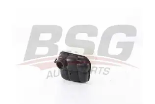 BSG 60550001 Radyatör Yedek Su Deposu