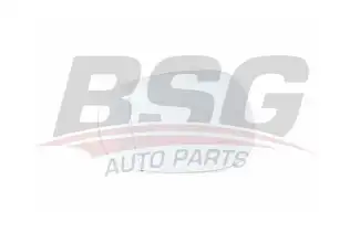 BSG 15910014 Ayna Camı Sağ