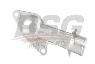 BSG 16126003 Termostat Kapağı