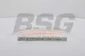 BSG 30145008 Polen Filtresi