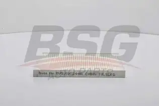 BSG 30145008 Polen Filtresi