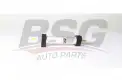 BSG 90130023 Yakıt Filtresi