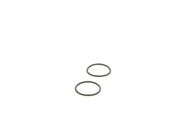 BOSCH F00041P053 Lastik UI - 24. Görsel