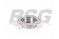 BSG 35210009 Fren Diski Arka