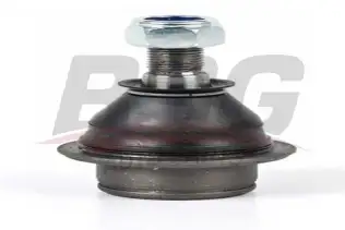 BSG 30310091 Rotil Alt