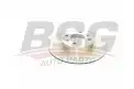 BSG 40210003 Fren Diski Ön
