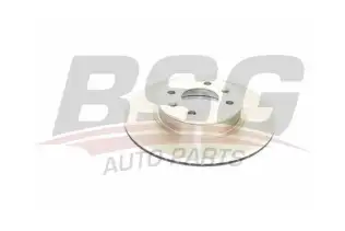 BSG 40210003 Fren Diski Ön
