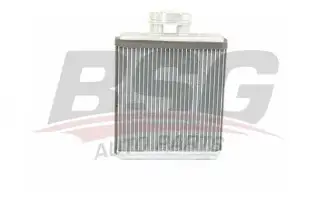BSG 90530008 Kalorifer Radyatörü