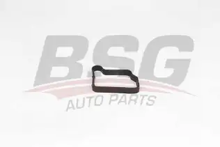 BSG 60109010 Üst Kapak Conta Keçesi