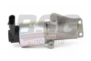 BSG 65836009 Egr Valfi