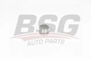 BSG 60122006 Supap Itıcısı