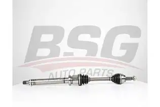 BSG 30350041 Aks Komple Ön Sağ