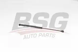 BSG 15980058 Motor Kaput Amortisörü