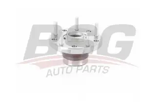 BSG 30605028 Porya Arka