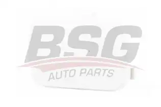 BSG 30922059 Çeki Demir Kapağı Arka