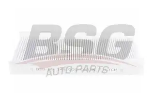 BSG 65145005 Polen Filtresi