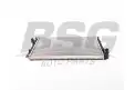 BSG 90520036 Su Radyatörü