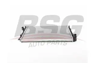 BSG 90520036 Su Radyatörü
