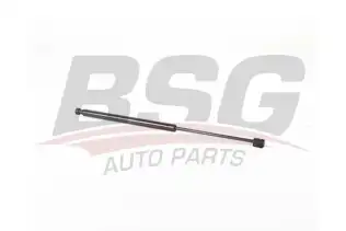 BSG 40980026 Bagaj Amortisörü