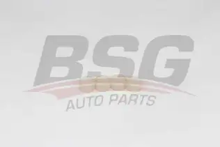BSG 30116152 Enjektör Oring Takımı