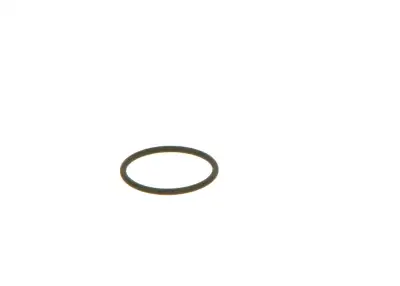 BOSCH F00VC38002 O-Ring - 25. Görsel