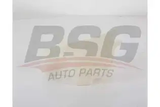 BSG 16550003 Radyatör Yedek Su Deposu