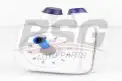 BSG 90506003 Yağ Soğutucusu