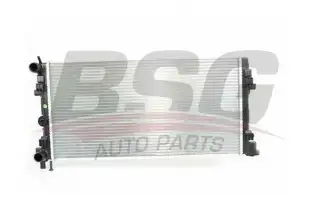 BSG 90520022 Su Radyatörü