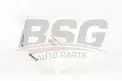 BSG 90550006 Radyatör Yedek Su Deposu