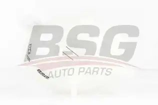 BSG 90550006 Radyatör Yedek Su Deposu
