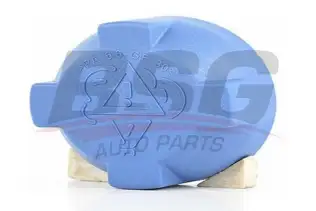 BSG 90551003 Radyatör Yedek Su Depo Kapağı