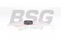 BSG 25615006 V Kayış Gergi Rulmanı