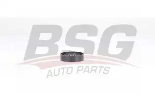 BSG 25615006 V Kayış Gergi Rulmanı