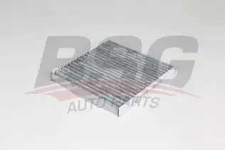 BSG 60145029 Polen Filtresi