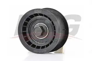 BSG 90615045 Eksantrik Gergi Rulmanı
