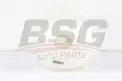 BSG 70550001 Radyatör Yedek Su Deposu