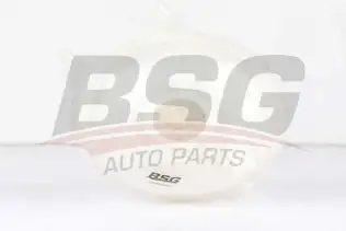 BSG 70550001 Radyatör Yedek Su Deposu
