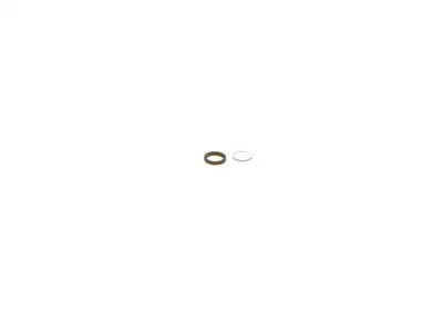 BOSCH F00RJ02772 Tamir Takımı - 28. Görsel