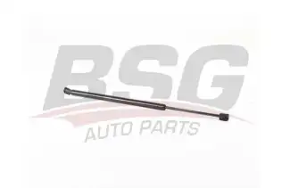 BSG 70980031 Bagaj Amortisörü