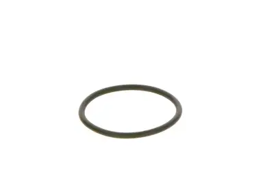 BOSCH F00R0P0166 O-Ring - 15. Görsel